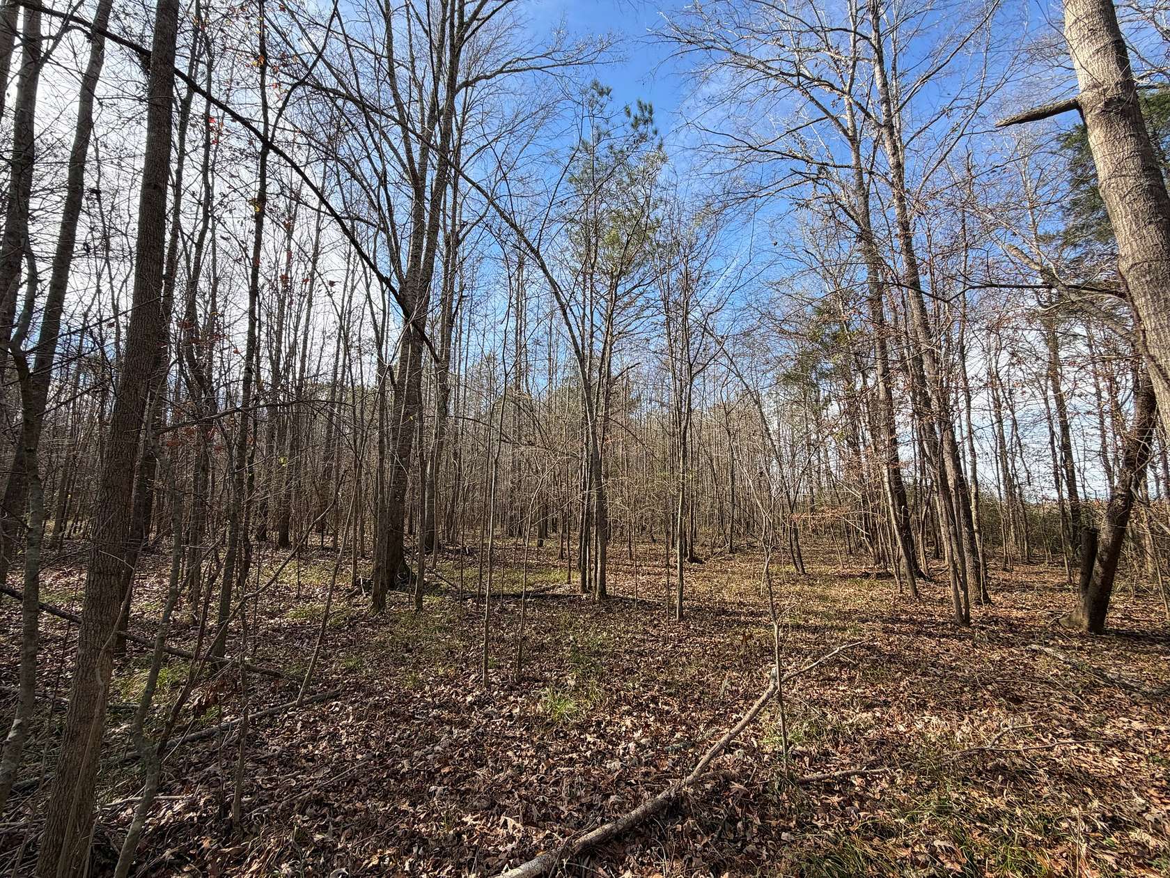 22 Acres of Recreational Land for Sale in Letohatchee, Alabama