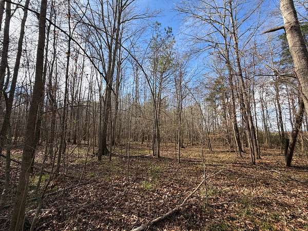 22 Acres of Recreational Land for Sale in Letohatchee, Alabama