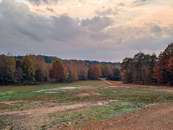 99 Acres of Recreational Land & Farm for Sale in Selmer, Tennessee