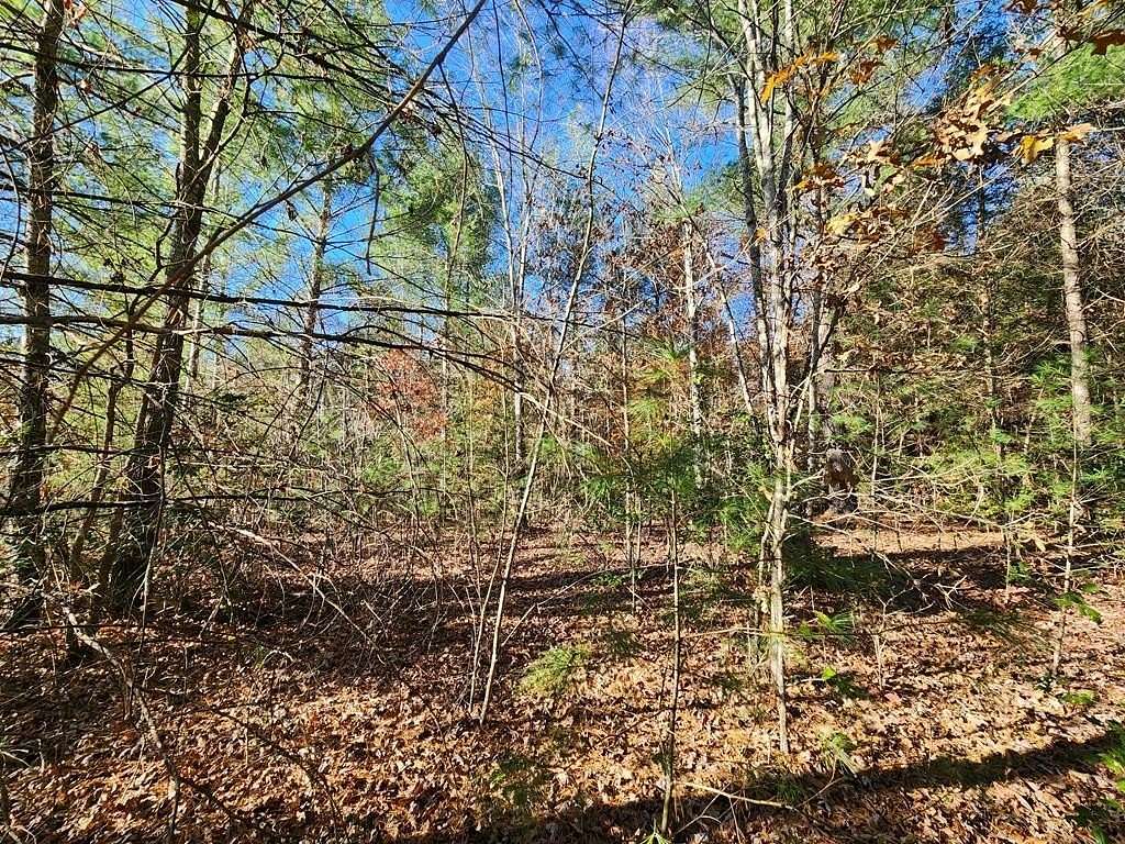 10.3 Acres of Land for Sale in Jamestown, Tennessee