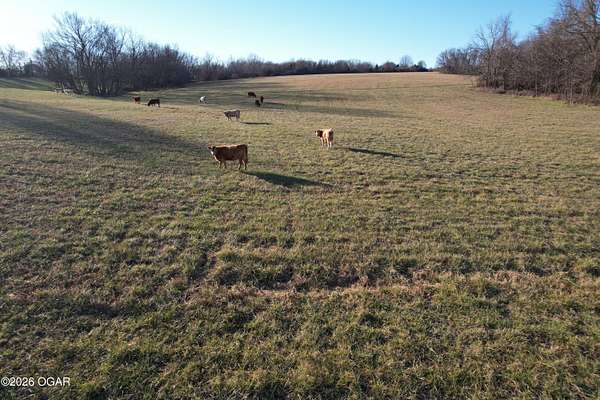 24 Acres of Recreational Land & Farm for Sale in Monett, Missouri
