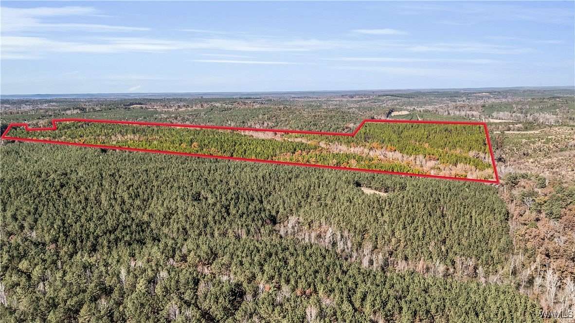 155 Acres of Recreational Land for Sale in Beaverton, Alabama