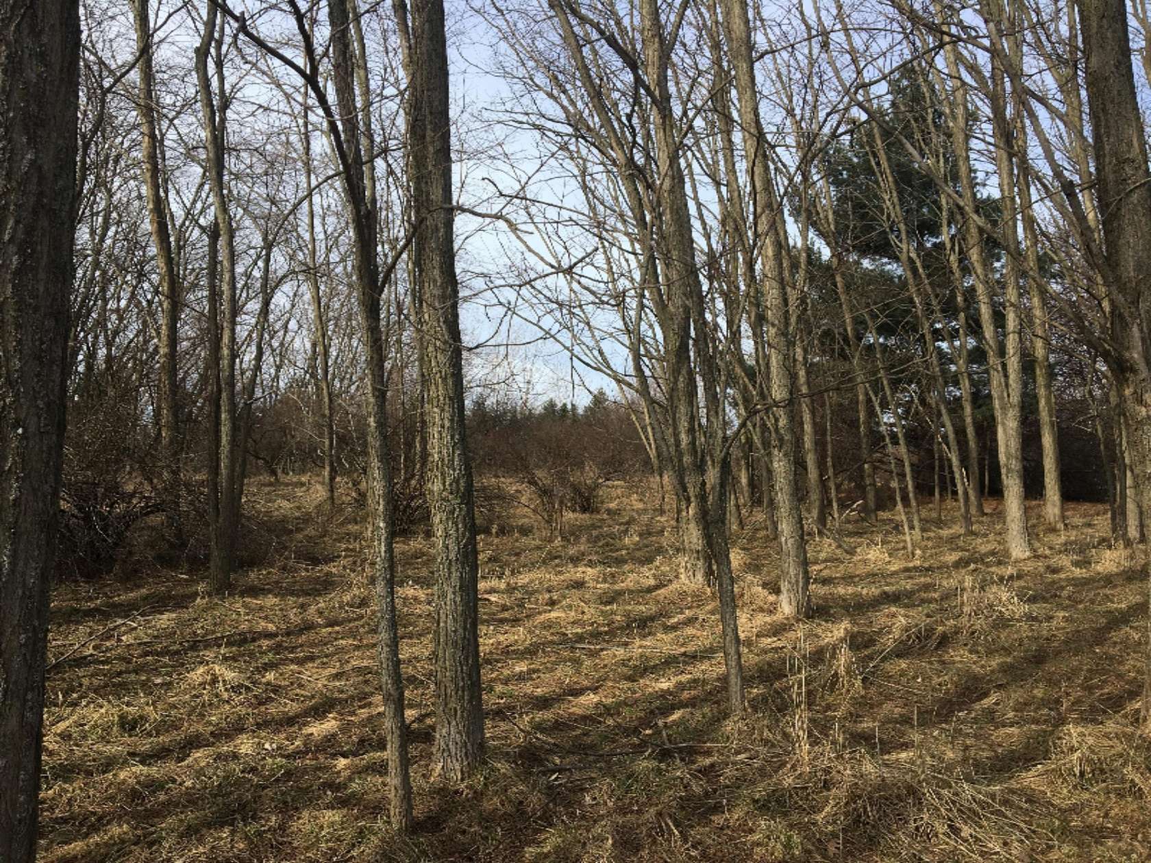0.9 Acres of Residential Land for Sale in Manistee, Michigan