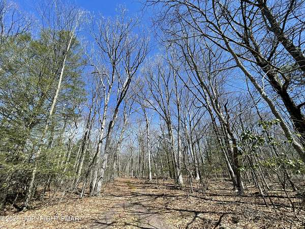 4.3 Acres of Residential Land for Sale in Cresco, Pennsylvania