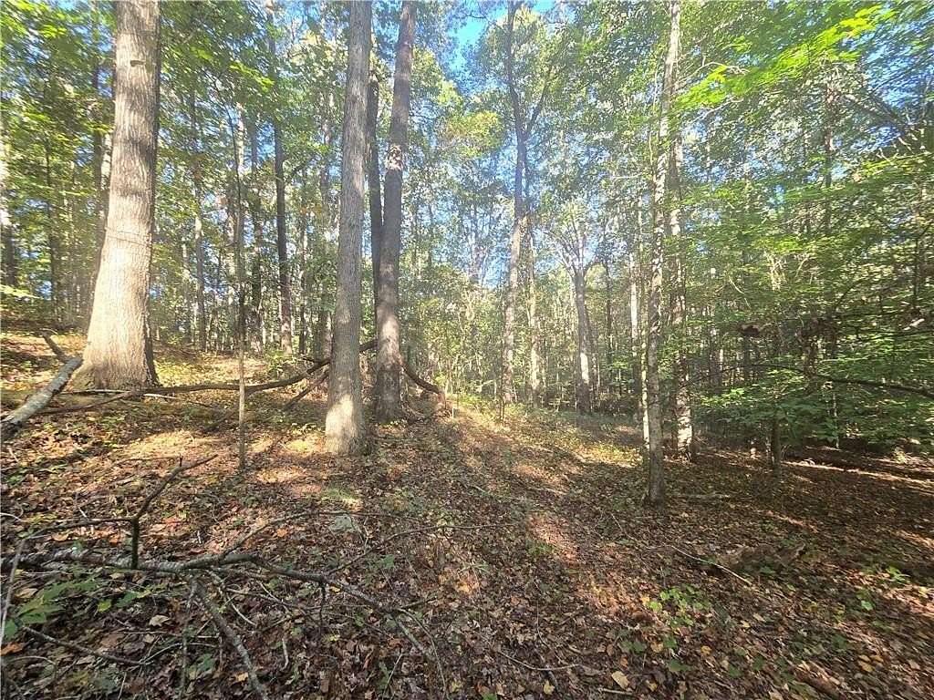 5 Acres of Residential Land for Sale in Jefferson, Georgia