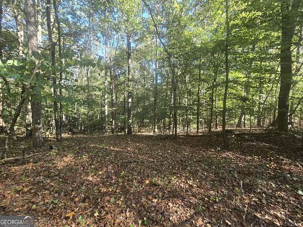 5 Acres of Residential Land for Sale in Jefferson, Georgia