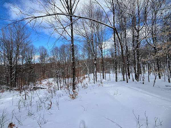 5.5 Acres of Land for Sale in Hermon, New York
