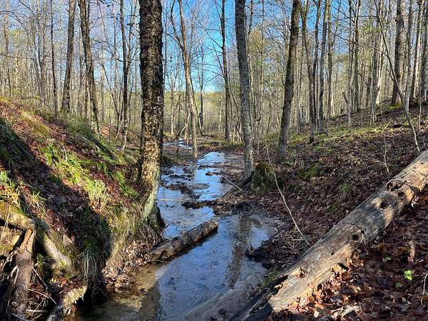 5.5 Acres of Land for Sale in Hermon, New York