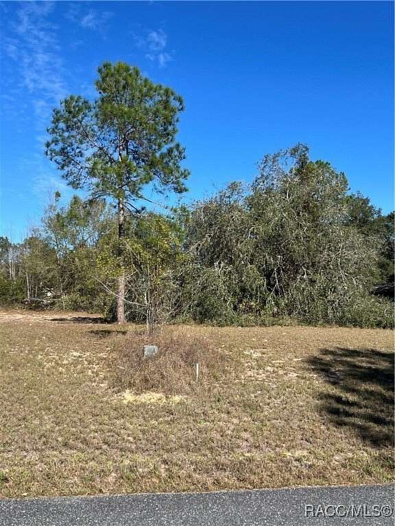 0.24 Acres of Residential Land for Sale in Lecanto, Florida