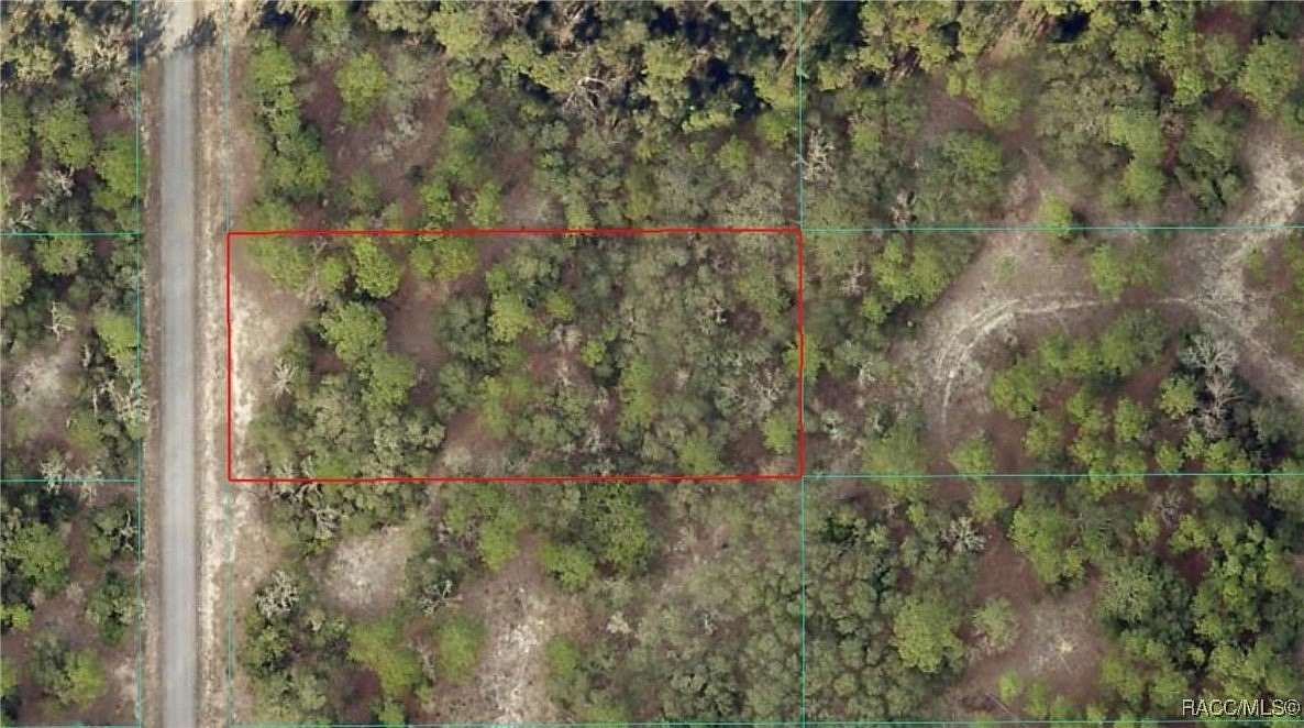 1 Acre of Residential Land for Sale in Dunnellon, Florida