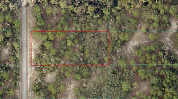 1 Acre of Residential Land for Sale in Dunnellon, Florida
