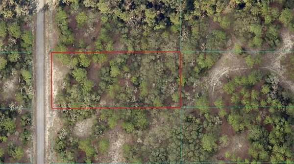 1 Acre of Residential Land for Sale in Dunnellon, Florida