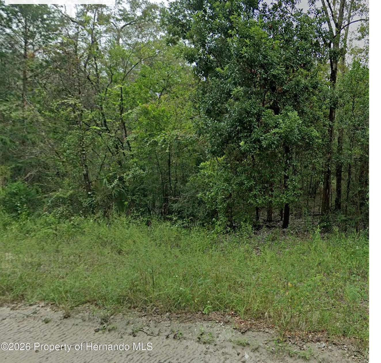 0.23 Acres of Land for Sale in Williston, Florida