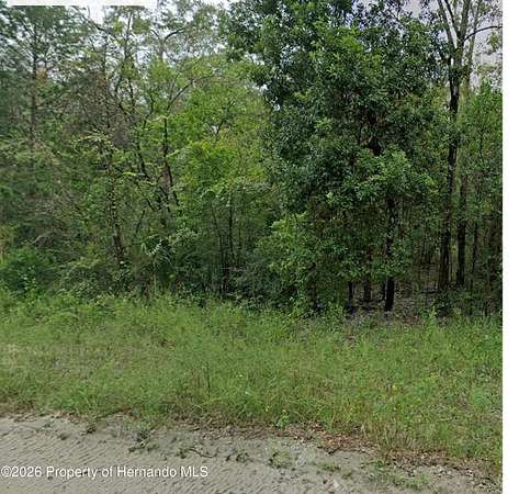 0.23 Acres of Land for Sale in Williston, Florida