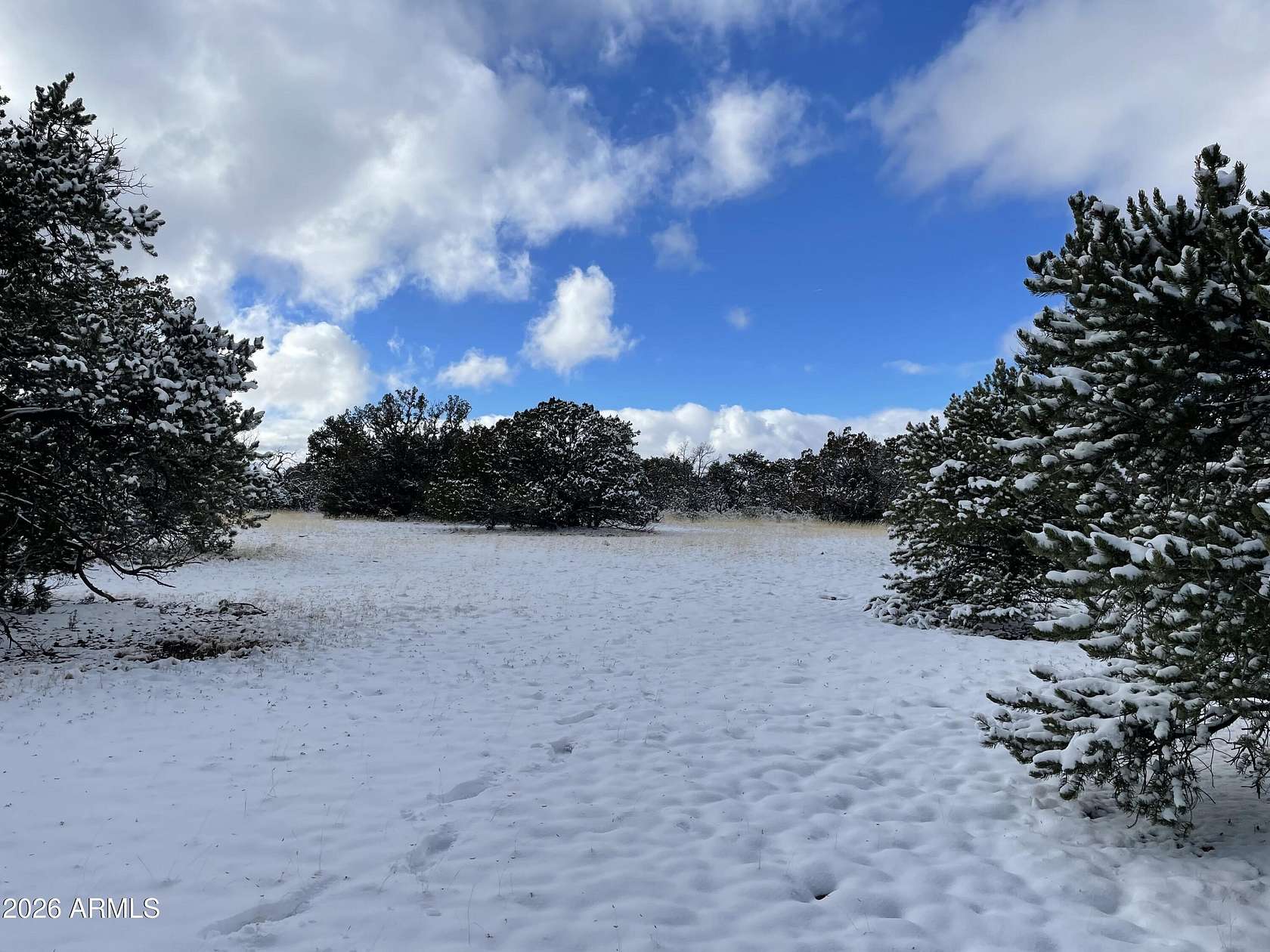 36 Acres of Recreational Land for Auction in Williams, Arizona