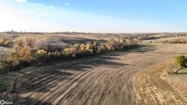 136 Acres of Recreational Land & Farm for Sale in Arion, Iowa