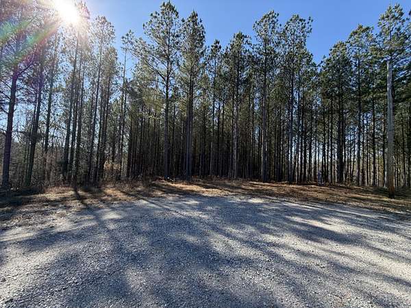 12 Acres of Recreational Land for Sale in Linden, Tennessee