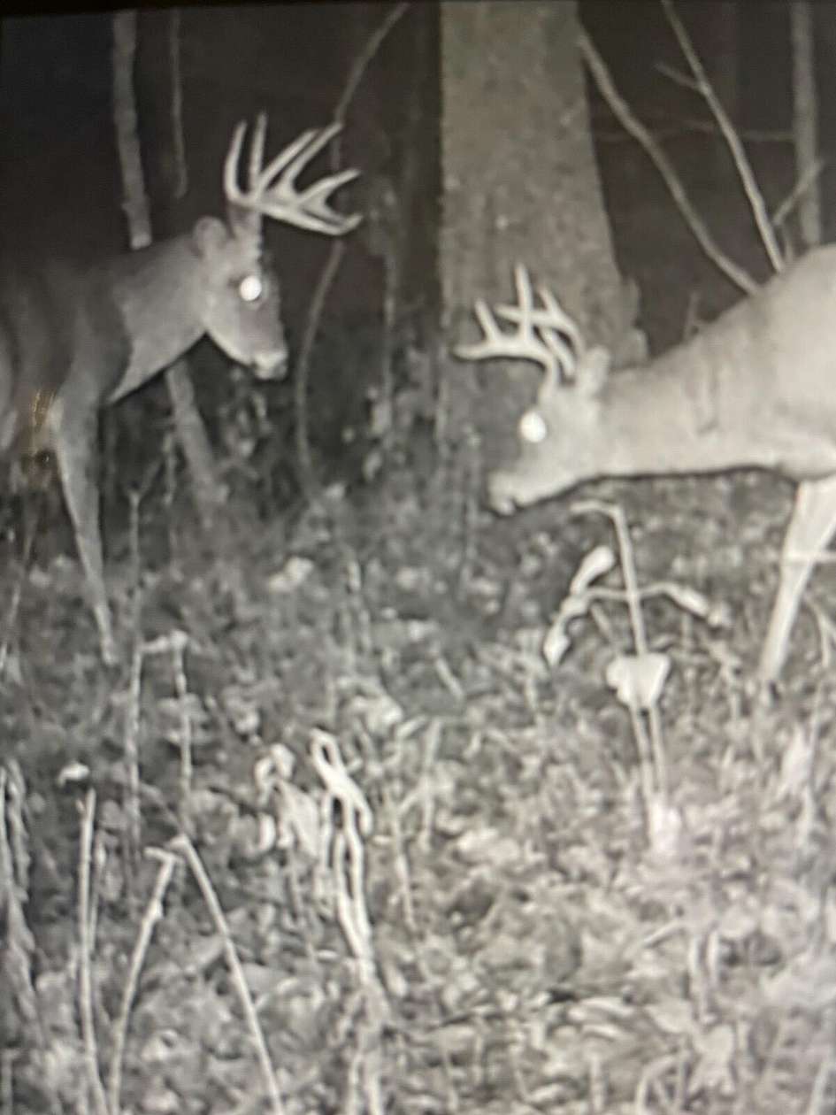 30 Acres of Recreational Land for Sale in Hyden, Kentucky