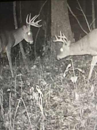 30 Acres of Recreational Land for Sale in Hyden, Kentucky