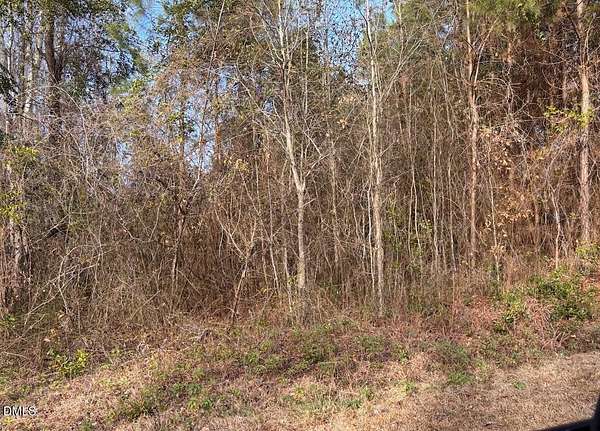 11 Acres of Land for Sale in Clarkton, North Carolina