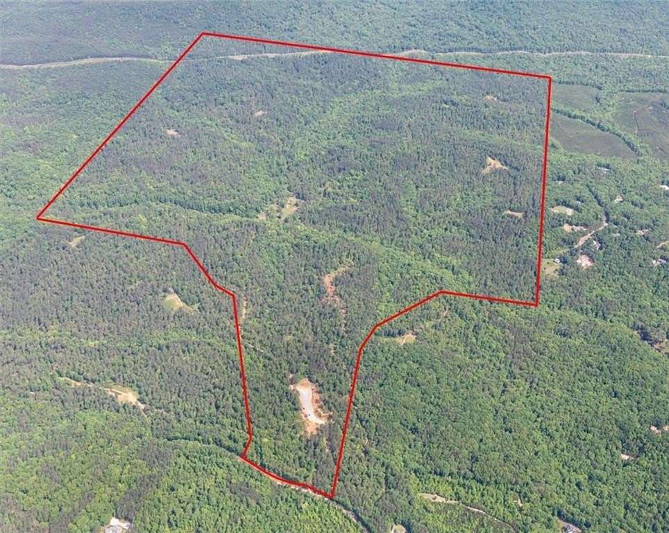750 Acres of Land for Sale in White City, Georgia