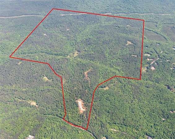 750 Acres of Land for Sale in White City, Georgia