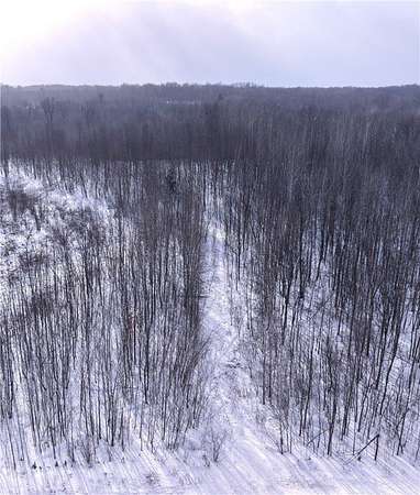 7 Acres of Land for Sale in Boyd, Wisconsin