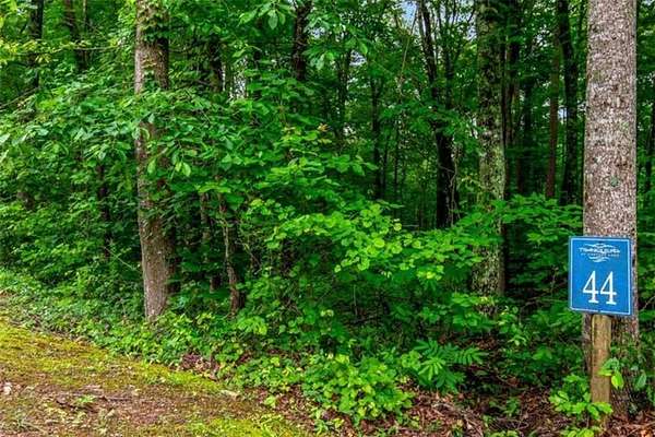 1 Acre of Residential Land for Sale in Ellijay, Georgia