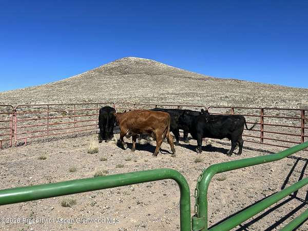 40 Acres of Land for Sale in Blanca, Colorado