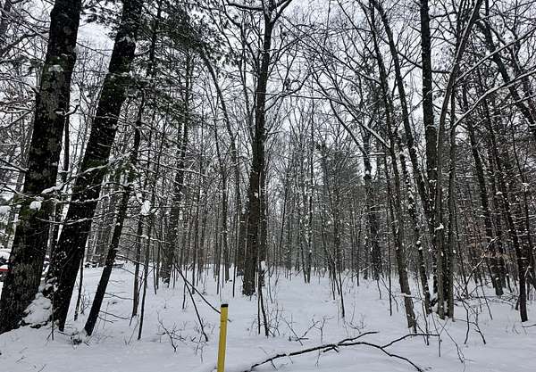 1.3 Acres of Residential Land for Sale in Big Rapids, Michigan