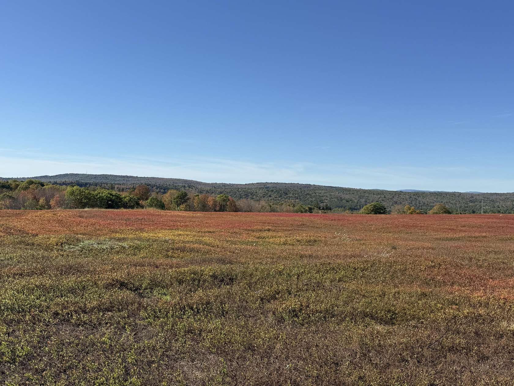 92 Acres of Land for Sale in Stockton Springs, Maine