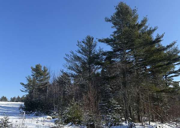 2 Acres of Residential Land for Sale in Stockton Springs, Maine