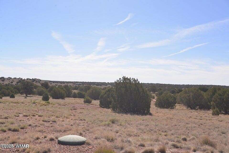 38.8 Acres of Recreational Land for Sale in Concho, Arizona