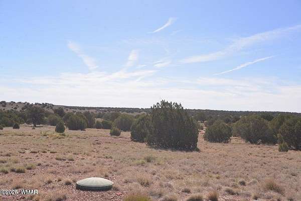 38.8 Acres of Recreational Land for Sale in Concho, Arizona
