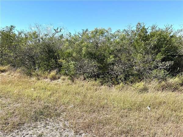 135 Acres of Agricultural Land for Sale in Benavides, Texas