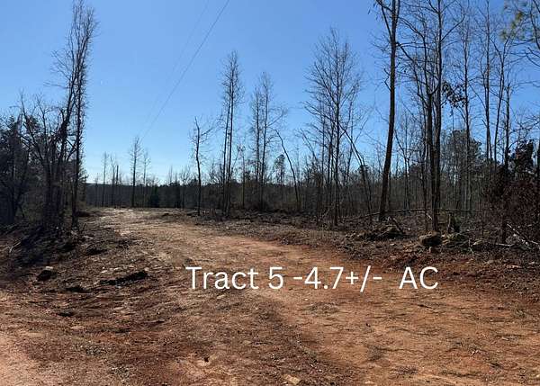 4.7 Acres of Land for Auction in Wedowee, Alabama