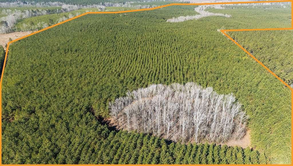 363 Acres of Recreational & Residential Land for Sale in Saluda, South Carolina