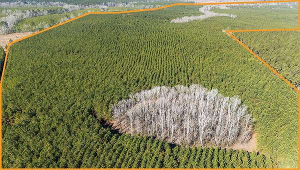 363 Acres of Recreational & Residential Land for Sale in Saluda, South Carolina