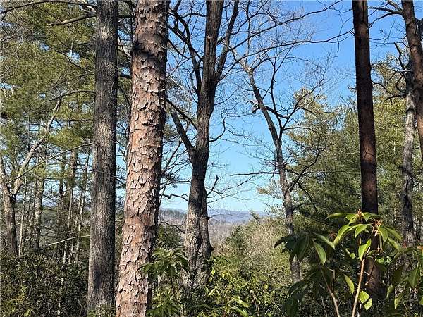 1.68 Acres of Residential Land for Sale in Sunset, South Carolina