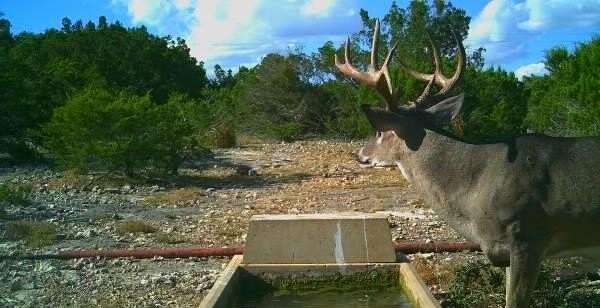 216 Acres of Improved Land for Sale in Barksdale, Texas