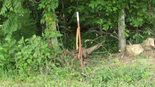 51.3 Acres of Land for Sale in Byrdstown, Tennessee