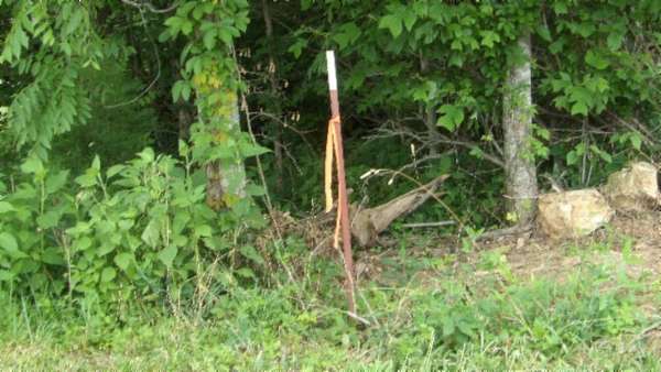 51.3 Acres of Land for Sale in Byrdstown, Tennessee