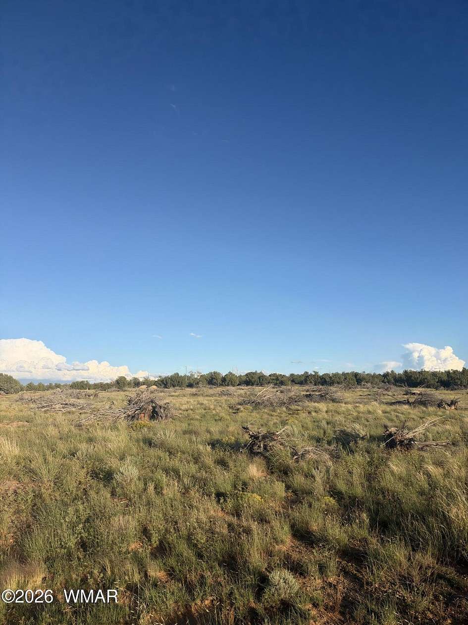 5 Acres of Land for Sale in Snowflake, Arizona
