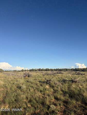 5 Acres of Land for Sale in Snowflake, Arizona
