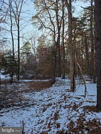 Land for Sale in Chesilhurst, New Jersey