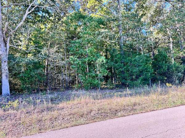 1.5 Acres of Residential Land for Sale in Michie, Tennessee