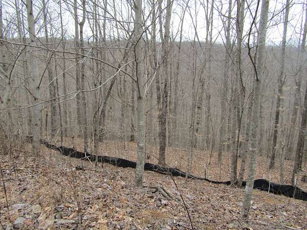 5 Acres of Residential Land for Sale in Wilder, Tennessee