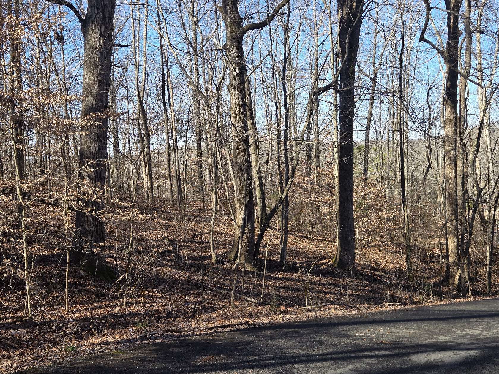 3.6 Acres of Residential Land for Sale in Waverly, Tennessee