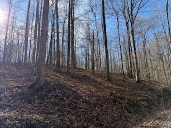 64.4 Acres of Recreational Land for Sale in Roundhill, Kentucky