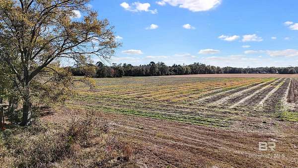 3.3 Acres of Residential Land for Sale in Elberta, Alabama